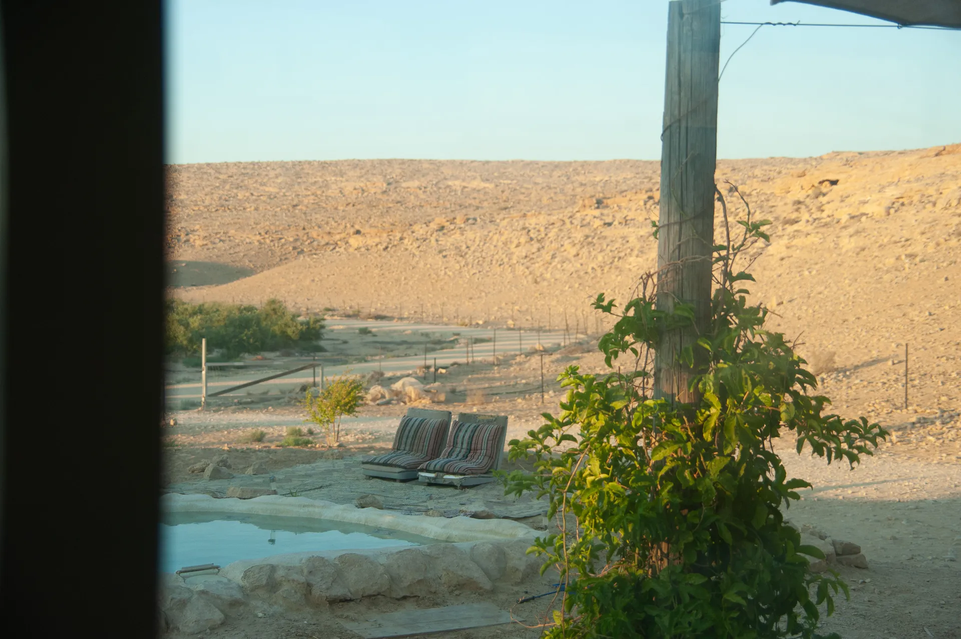 מבט מהאוטובוס החוצה — בריכה, כריות ומדבר